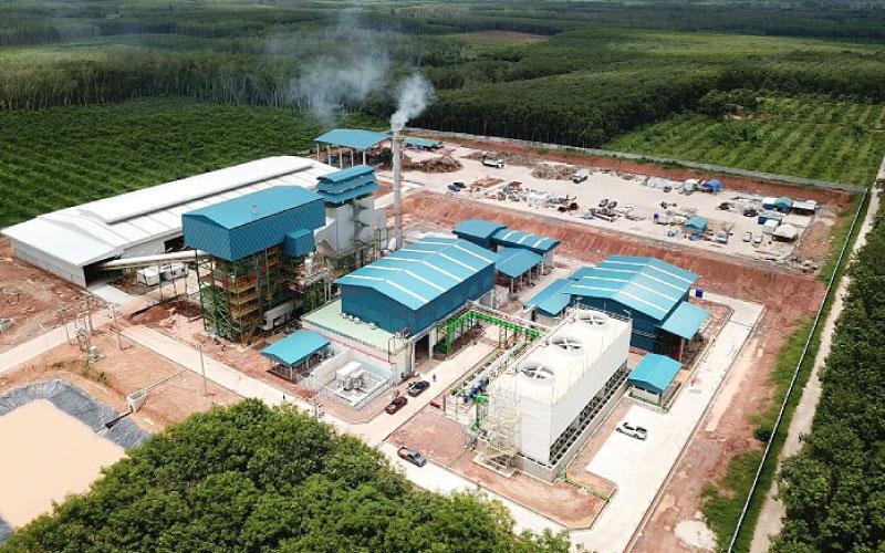 Green Bio Fuel India Plant