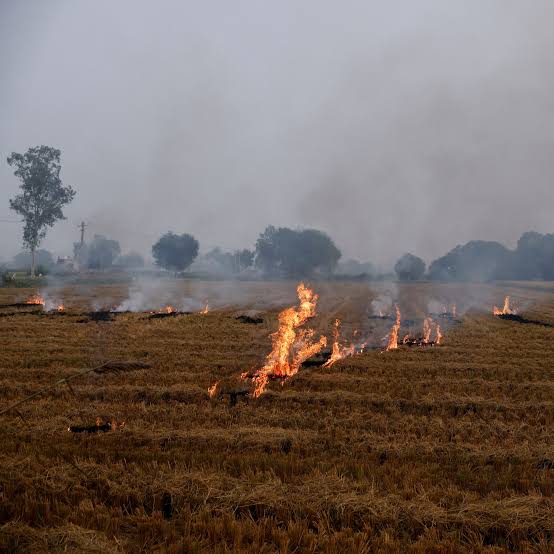 Pollution, stubble burning and coal pollution